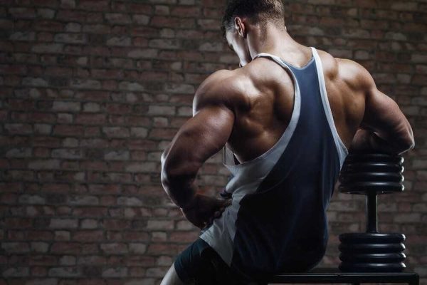 Can You Get Ultima-Dbol 10 for Sale for Muscle Hypertrophy?
