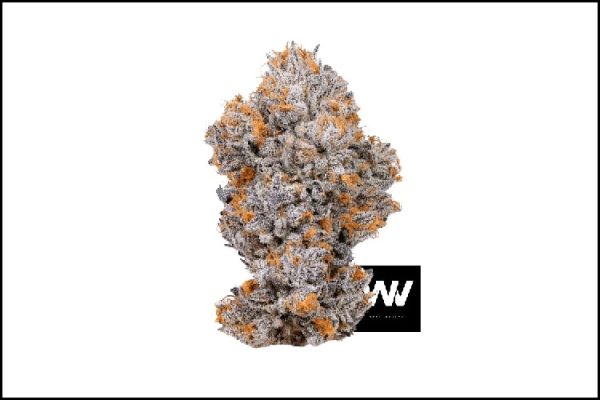 Is The Leading Cannabis Dispensary DC A Retail Icon?     