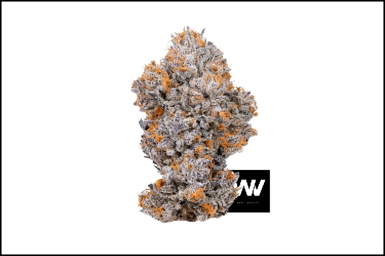 How does a cannabis dispensary DC become a lifeline?